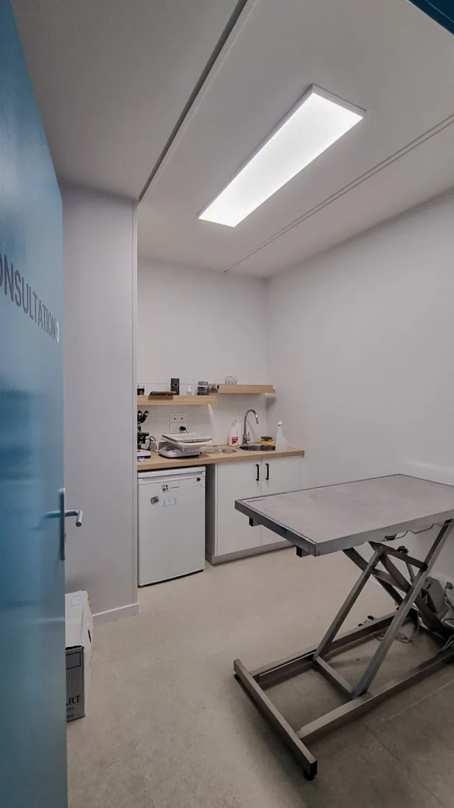 Clinique Vétérinaire Univet Colombes : Aménagement Design+Build par Xiléades, Agence Architecture Paris — vue 6