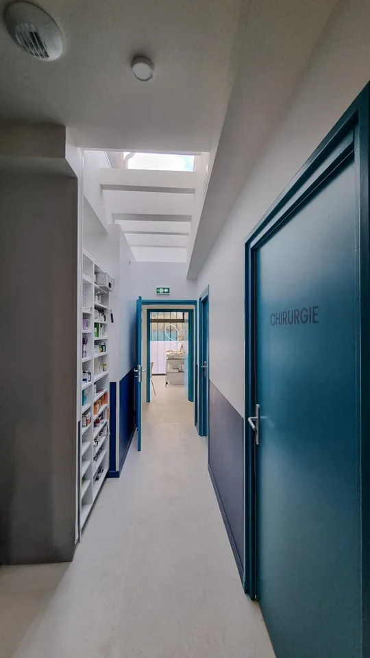Clinique Vétérinaire Univet Colombes : Aménagement Design+Build par Xiléades, Agence Architecture Paris — vue 7