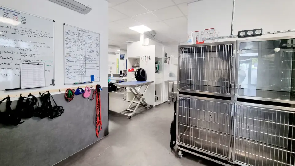 Rénovation & Aménagement Clinique Vétérinaire MUV Échirolles | Agence Design+Build — vista 5