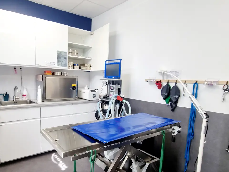 Rénovation & Aménagement Clinique Vétérinaire MUV Échirolles | Agence Design+Build — vista 7