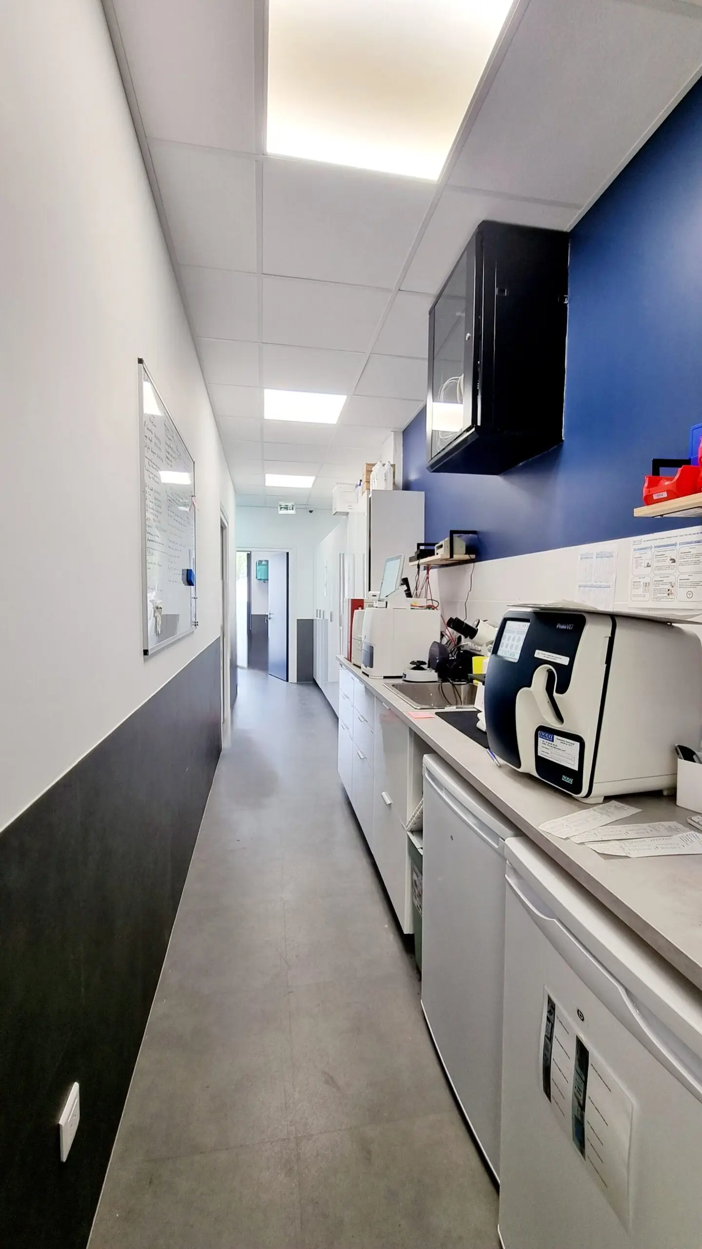 Rénovation & Aménagement Clinique Vétérinaire MUV Échirolles | Agence Design+Build — vista 9