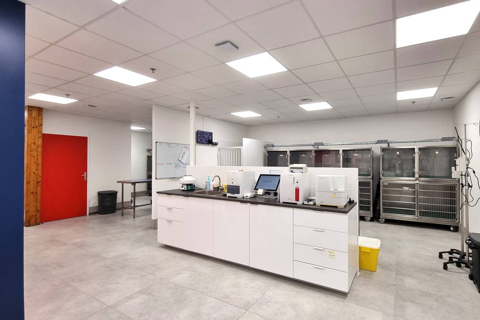 Clinique Vétérinaire MUV Le Mans : Aménagement & Rénovation | Xiléades, Agence Design+Build