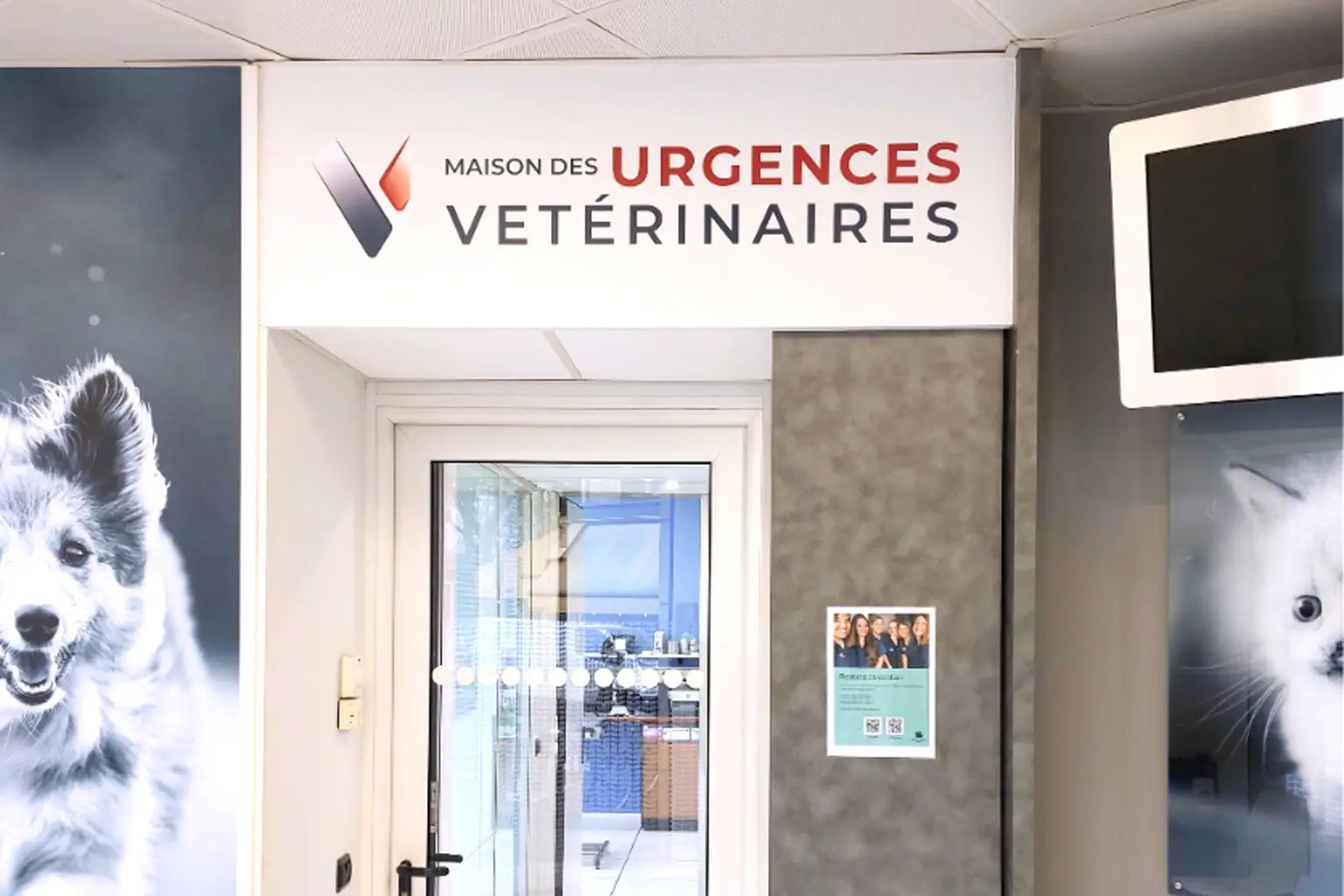 MUV Paris III (Marais) : Aménagement & Rénovation Locaux Professionnels, Agence Design+Build Paris — Médical & Vétérinaire par Xiléades