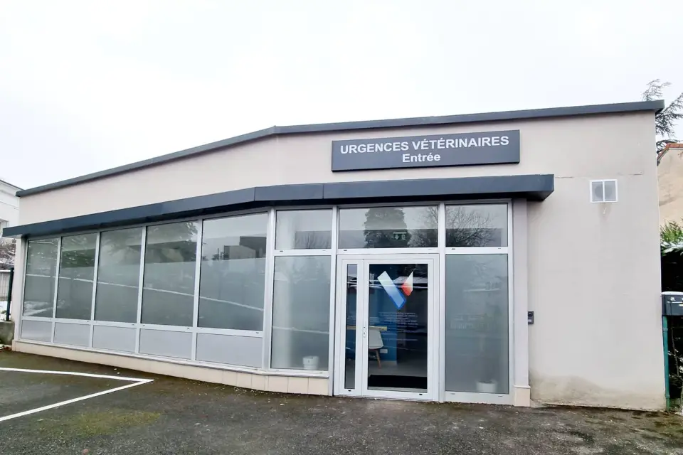 Clinique Vétérinaire MUV Saint-Étienne : Rénovation & Aménagement | Xiléades Design+Build, Contractant Général — Médical & Vétérinaire von Xiléades
